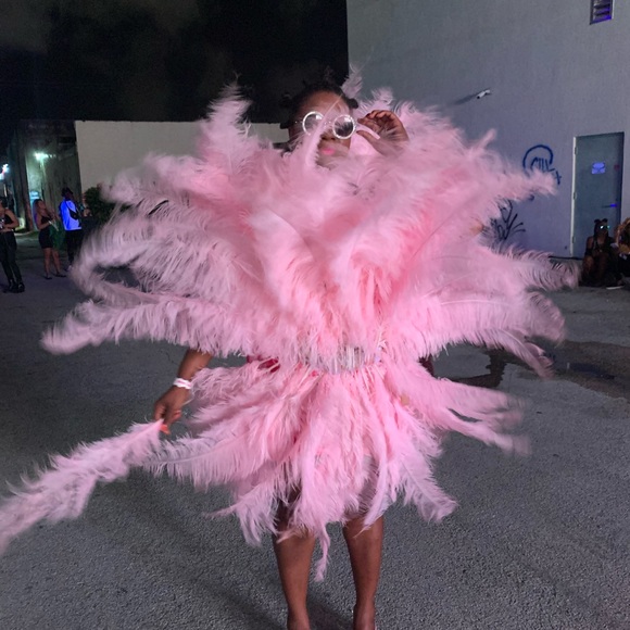 Other - 200 Pink Ostrich Feathers - LONG
